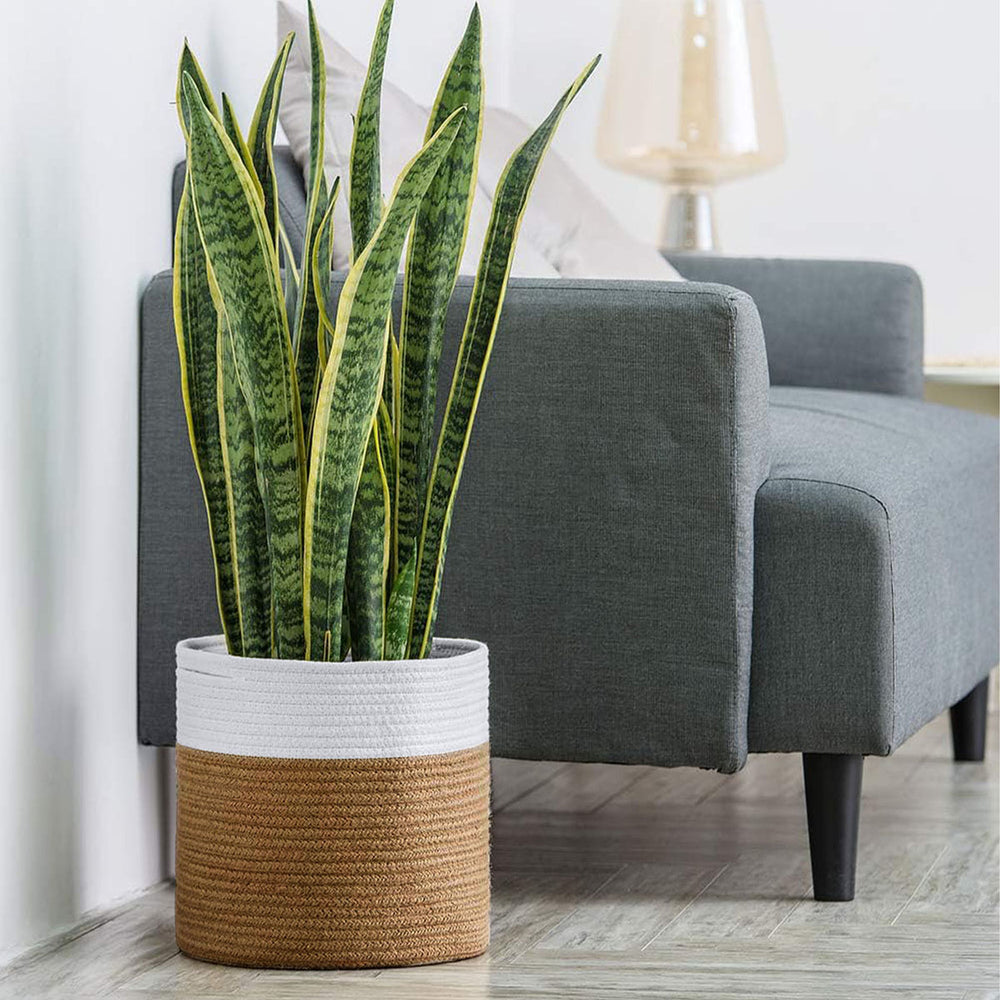 
                  
                    CESTO DE ALMACENAMIENTO DE 28L
                  
                