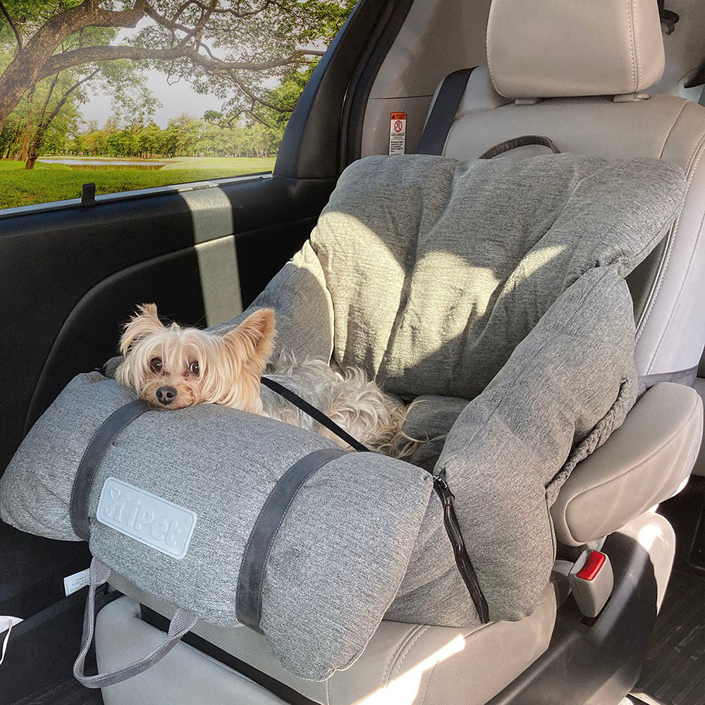 
                      
                        Asiento de viaje para mascota 2 en 1
                      
                    