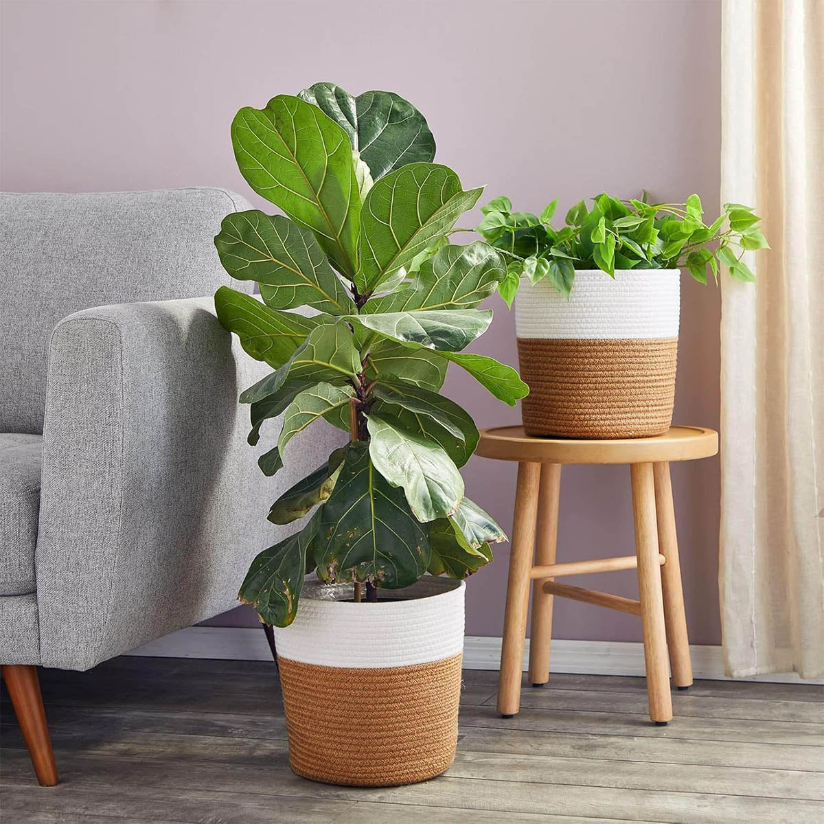 cestos de diferentes capacidades siendo utilizados para colocar plantas de plastico