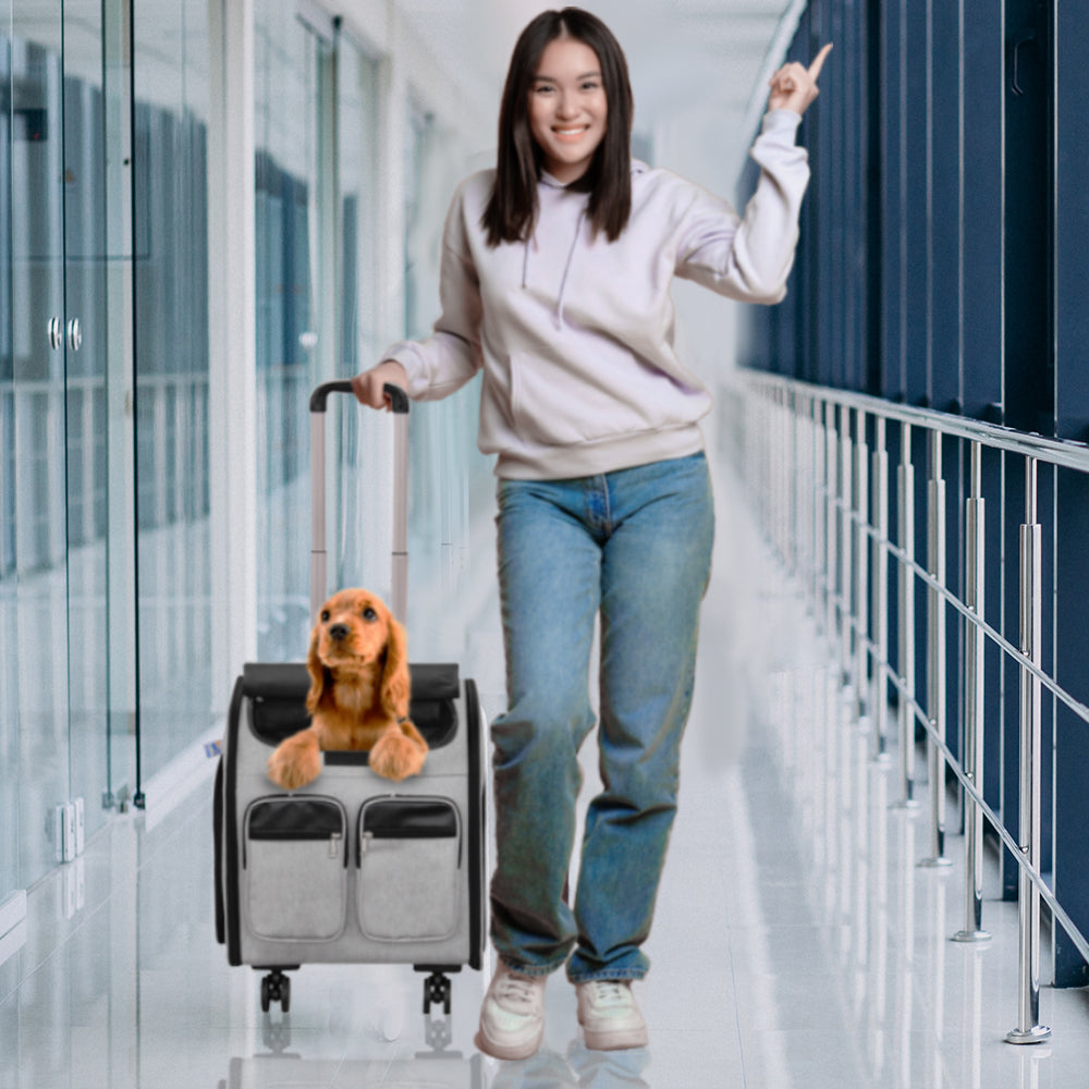 Mochila con ruedas para pasear mascotas I PET